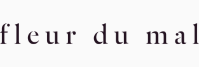 fleur-du-mal-discount-code